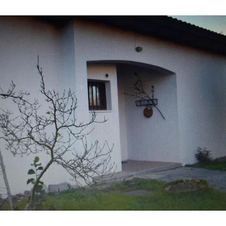 Appartamento In Villa Con Giardino A 300M Dal Lago Maggiore Castelletto sopra Ticino Bagian luar foto